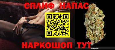 крисы Аша