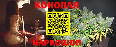 крисы Аша