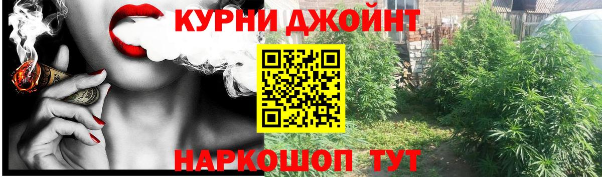 Шишки марихуана конопля  Вход с VPN  Бошки Шишки планчик  Кстово 